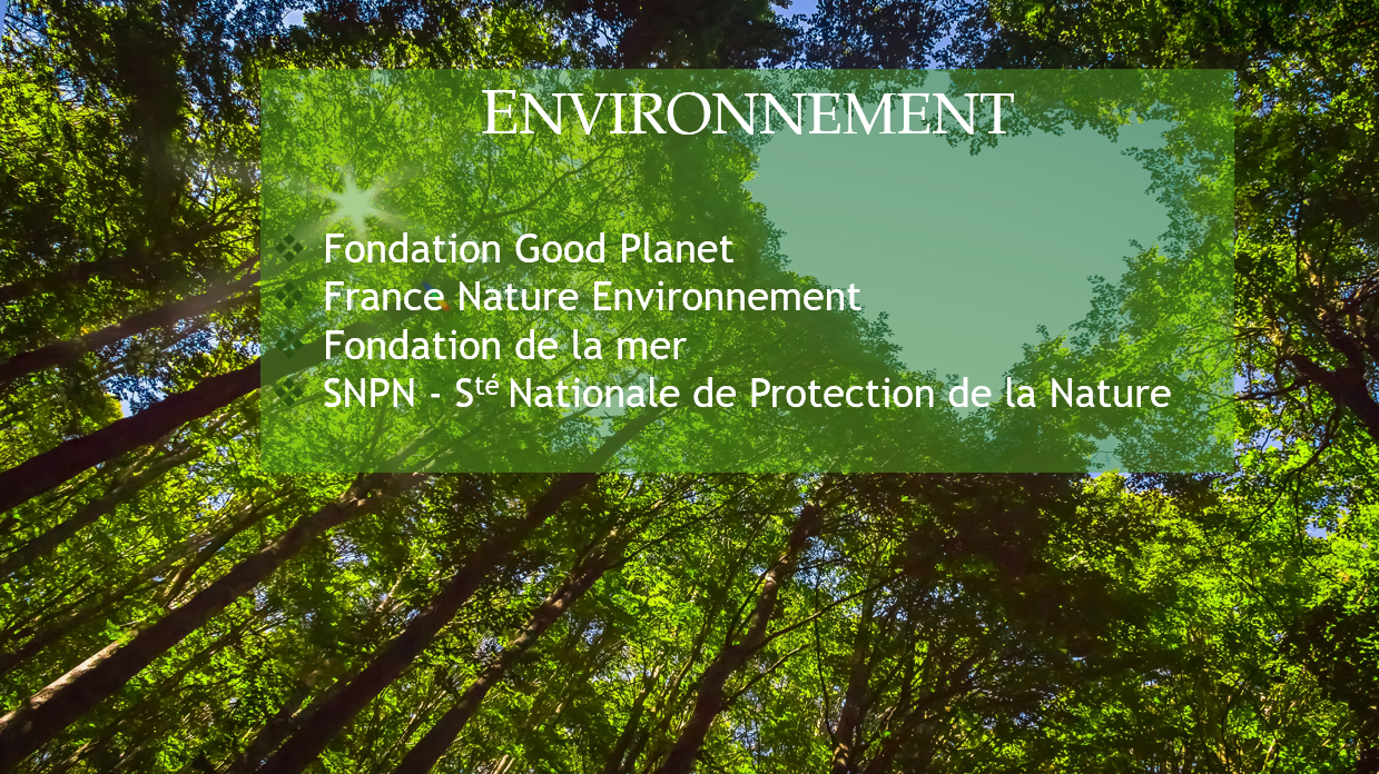 environnement%20fin